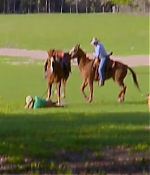 TSL_S2x01_2839829.jpg