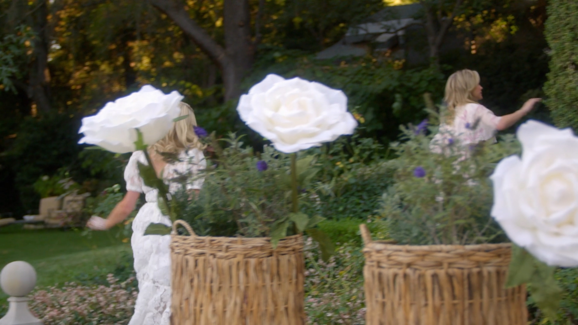 PIL_S1x12_2812429.jpg