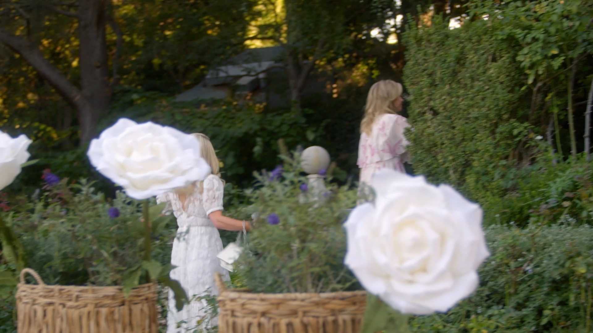 PIL_S1x12_2812529.jpg