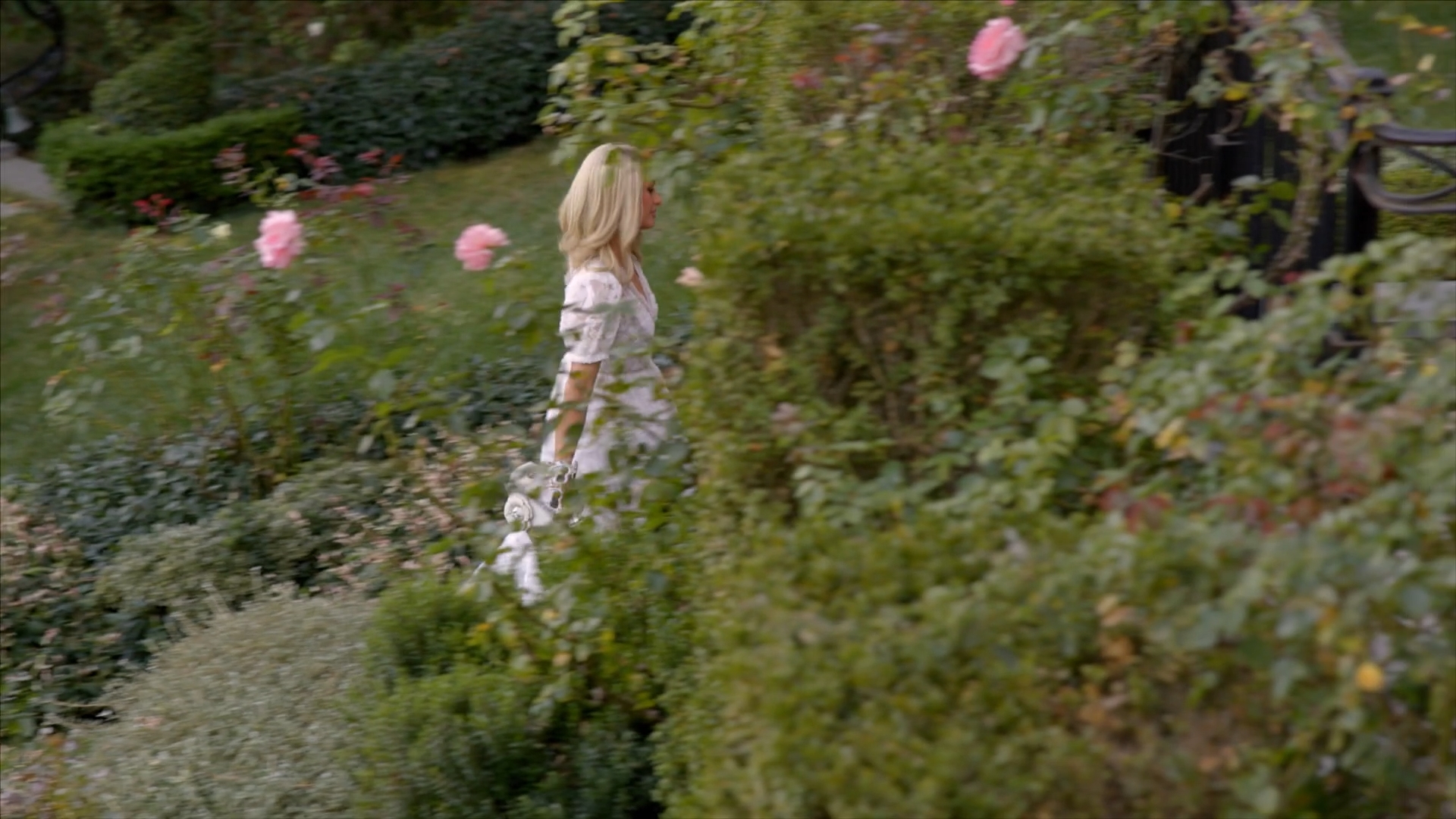 PIL_S1x12_2812629.jpg