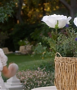 PIL_S1x12_2811329.jpg